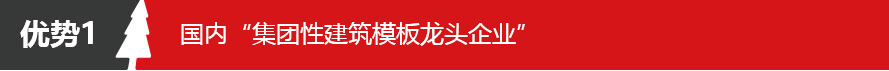 五棵松牌清水模板 大板 07